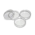 Petridish (100 pcs/pkg)